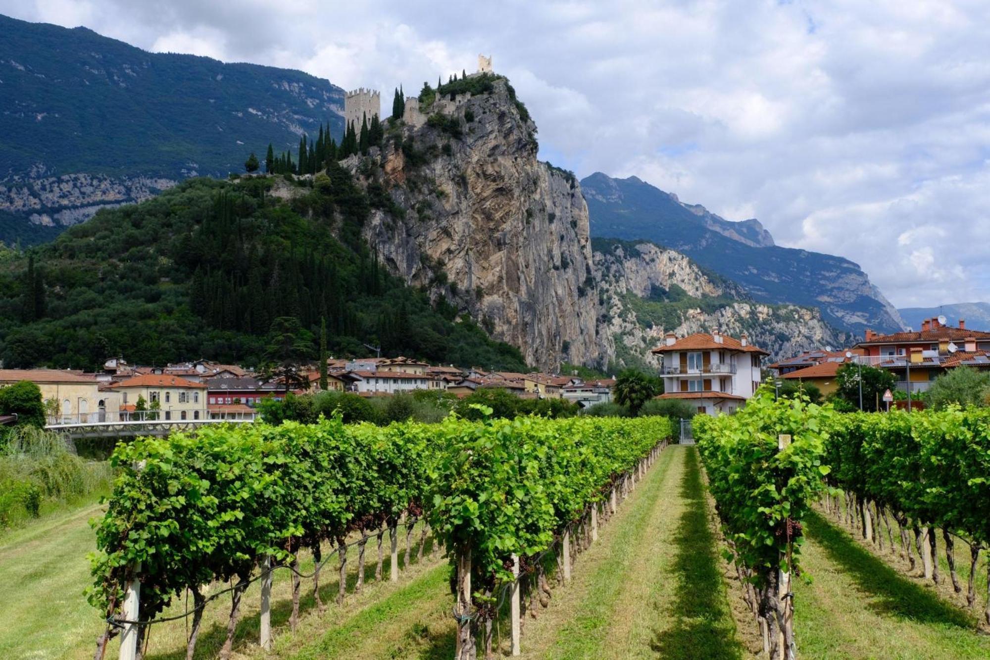 The Peace Of The Lake - Happy Rentals Torbole Sul Garda Bagian luar foto